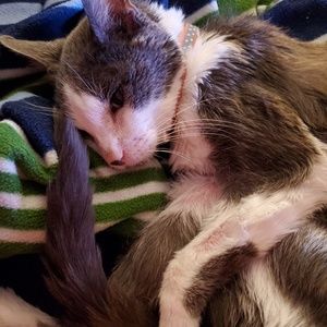 Meet your Posher, Sandi